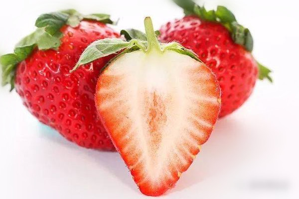 怎样的草莓适合采摘(草莓怎么采摘)