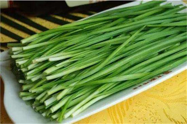 韭菜的功效和作用(韭菜的功效和作用怎么吃壮阳)
