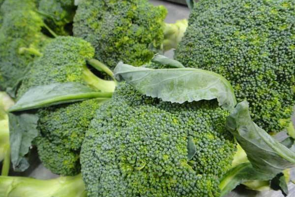 西兰花怎么做好吃(西兰花怎么做好吃又有营养) 西兰花怎么做好吃(西兰花怎么做好吃又有营养)