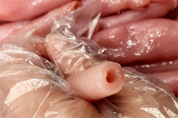 海肠有什么营养(海肠有什么营养价值)