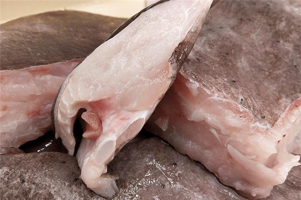 老板鱼的家常做法(老板鱼的家常做法大全)