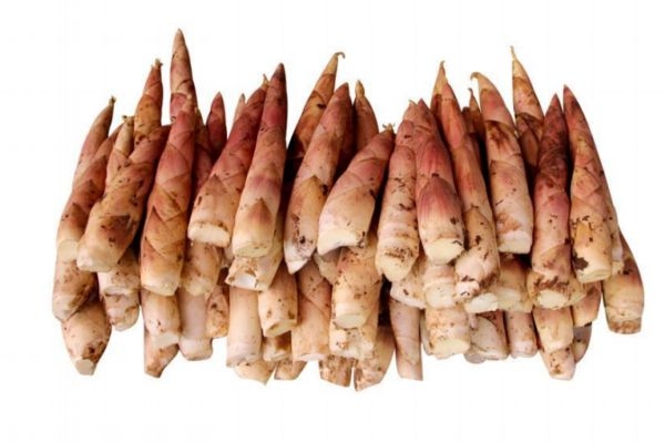 春笋如何长期保存(春笋怎样保存时间长)