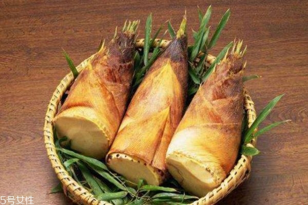 春笋什么时候可以挖(春笋什么时候可以挖)