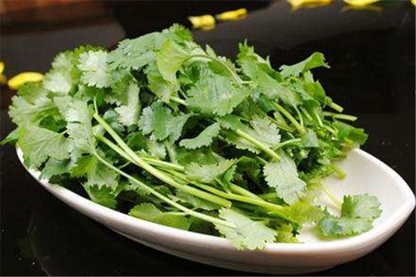 香菜的功效和作用(香菜的功效和作用禁忌)