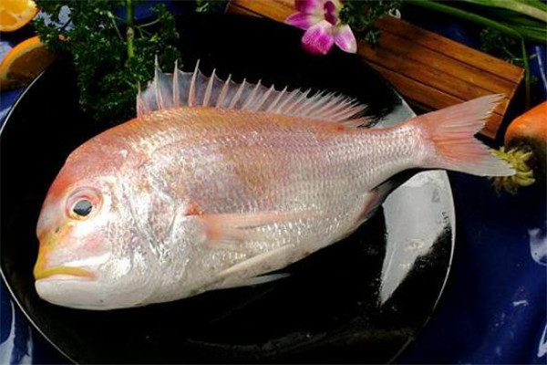 灰色法兰绒香水留香时间(灰色法兰绒香水香评)