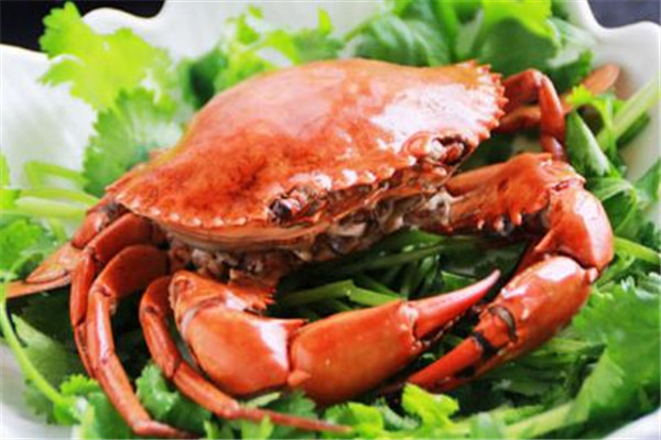 螃蟹的营养价值(螃蟹的营养价值及功效)