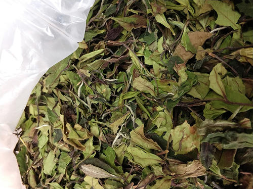 白牡丹茶价格贵吗(白牡丹茶一般多少钱)
