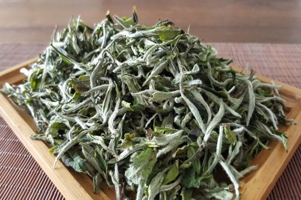 白牡丹茶和贡眉外形上有什么区别(贡眉和白牡丹茶的区别)