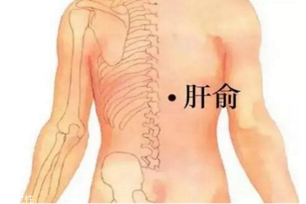 常按4个穴位远离肝脏疾病(按摩哪个部位保护肝脏) 常按4个穴位远离肝脏疾病(按摩哪个部位保护肝脏)