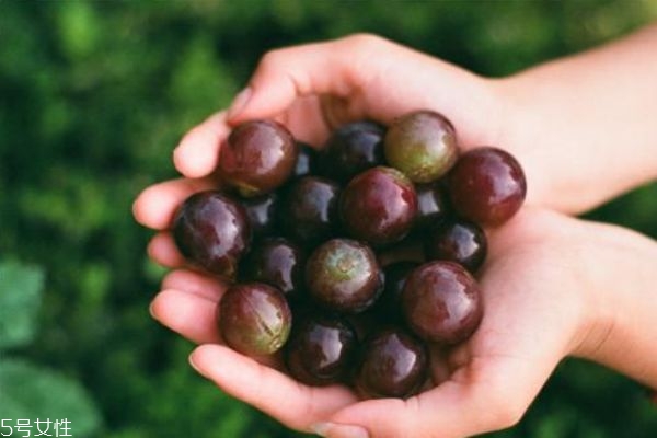 葡萄没洗能吃吗(葡萄没洗能吃吗?)