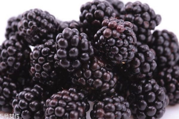 桑葚干泡水怎么泡(桑葚干泡水怎么泡)