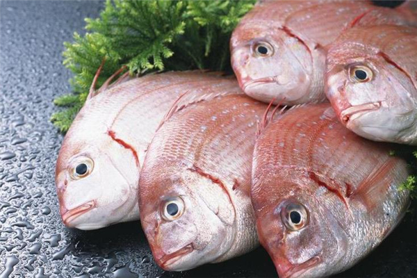 吃红杉鱼有哪些好处(红杉鱼营养价值和功效)