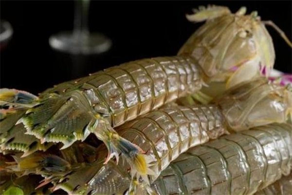 琵琶虾怎么挑选(琵琶虾怎么挑选)