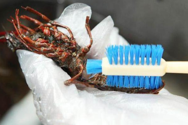 小龙虾的十种做法(小龙虾的十种做法)