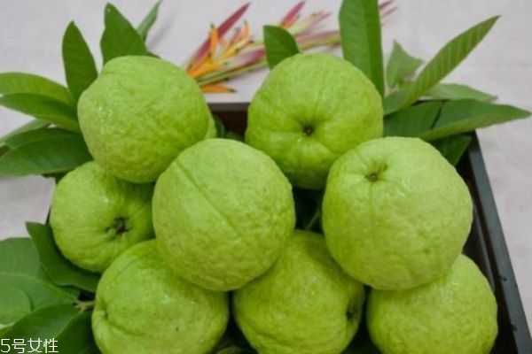 这些人不适合吃芭乐籽(芭乐籽能吃么)