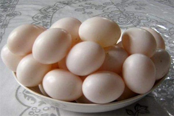 吃鸽子蛋的功效(吃鸽子蛋的好处)
