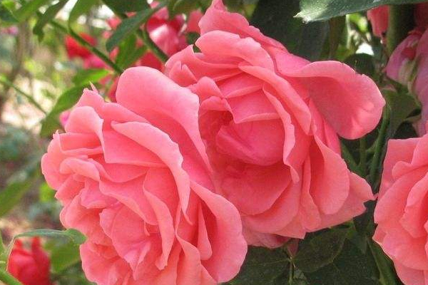 眉笔潮了怎么办(眉笔潮了怎么办)