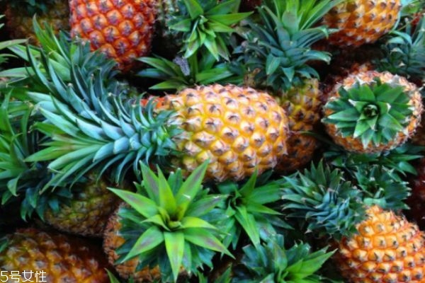 蜜汁菠萝排骨的做法(菠萝蜜炖排骨的做法)