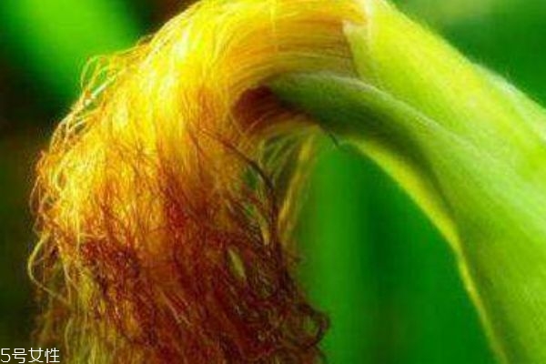 预防心血管病(预防心血管病吃什么药)