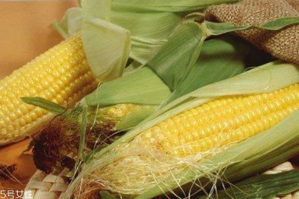 玉米营养价值(玉米营养价值功效作用)
