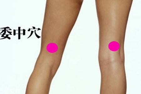 委中穴缓解腰背酸痛(腰酸背疼如何经络按摩) 委中穴缓解腰背酸痛(腰酸背疼如何经络按摩)