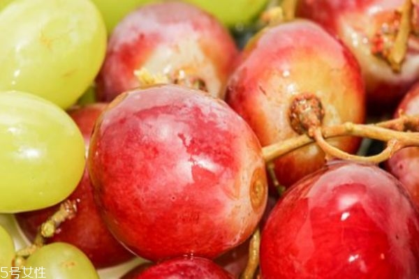 提子的成分(提子的成分)