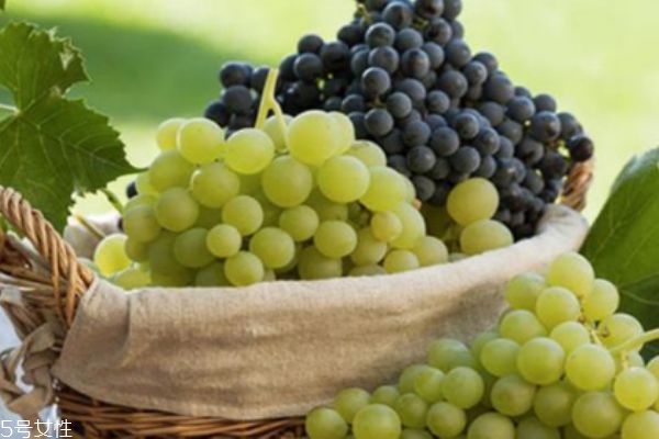 提子不能和这些一起吃(提子和什么不能一起吃) 提子不能和这些一起吃(提子和什么不能一起吃)