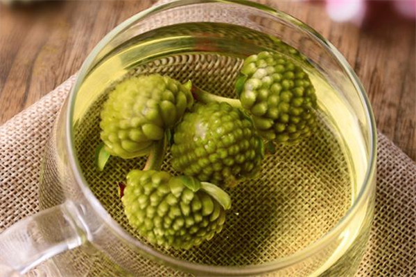 绿萝花茶饮用禁忌(喝绿萝花茶的禁忌) 绿萝花茶饮用禁忌(喝绿萝花茶的禁忌)