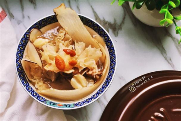 海底椰的功效和作用(海底椰的功效和作用禁忌及食用方法) 海底椰的功效和作用(海底椰的功效和作用禁忌及食用方法)