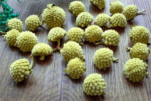 绿萝花茶的功效(绿萝花茶的功效和作用) 绿萝花茶的功效(绿萝花茶的功效和作用)