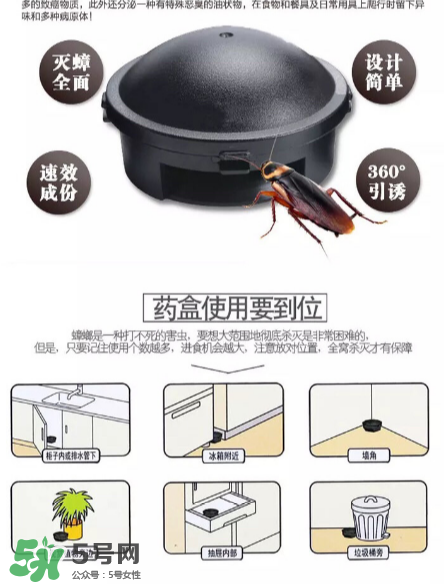 日本蟑螂药说明书(日本蟑螂药小黑屋使用方法) 日本蟑螂药说明书(日本蟑螂药小黑屋使用方法)
