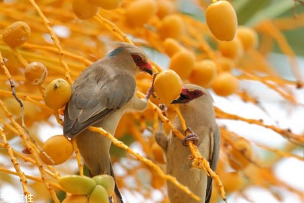 什么是“身体界限”(什么是身体界限)