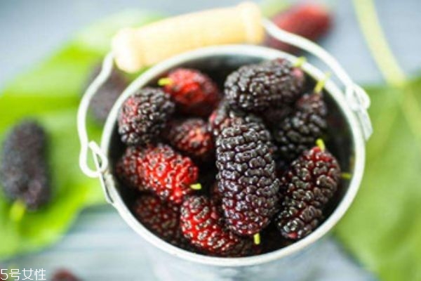 桑葚的食用禁忌(桑葚 禁忌)