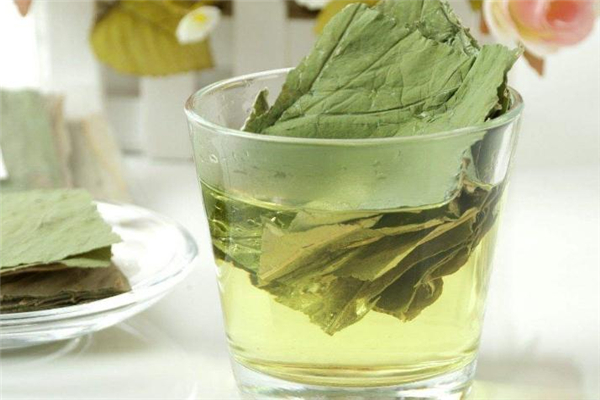 什么人不能喝荷叶茶(什么人不能喝荷叶茶)