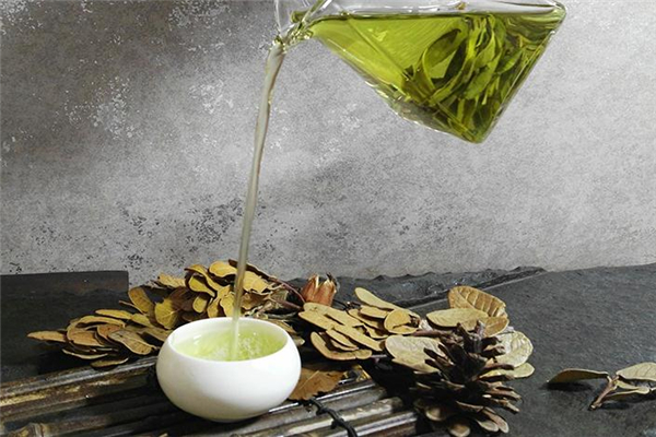 苦丁茶的功效和作用(苦丁茶的功效和作用和主治)