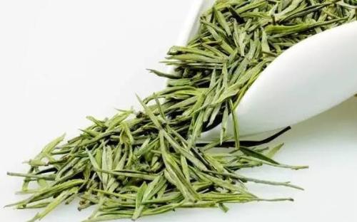 白毛茶的特点(白毛茶是什么茶)