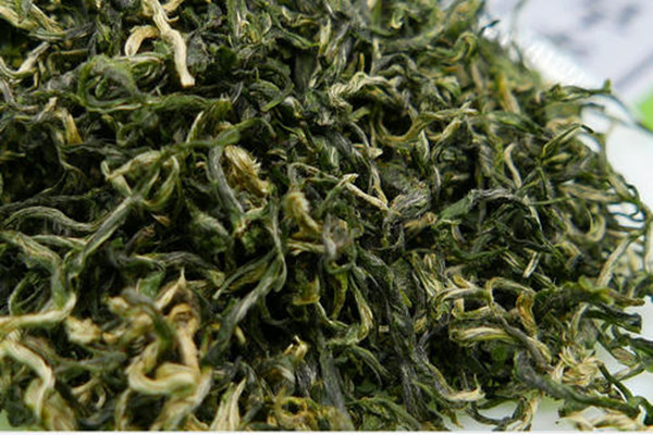 仁化白毛茶有副作用吗(白毛茶有什么功效)