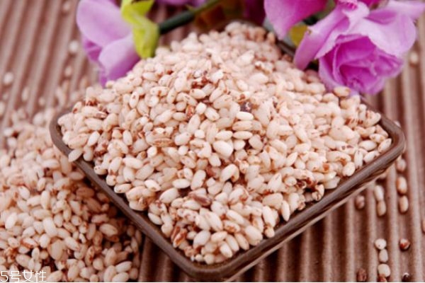 包粽子的米是什么米(包粽子的米是什么米)