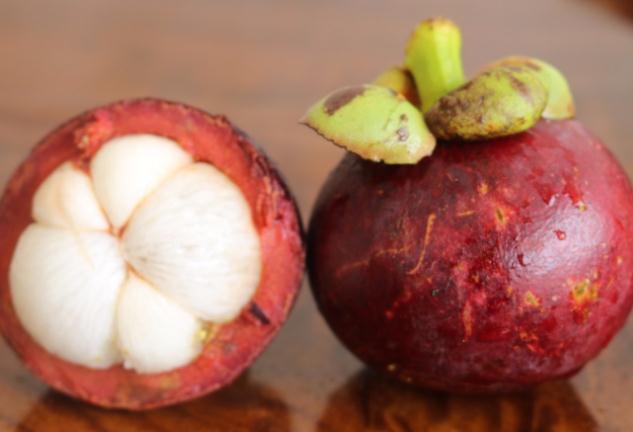 山竹有蚂蚁还能吃吗(山竹有蚂蚁还能吃吗)