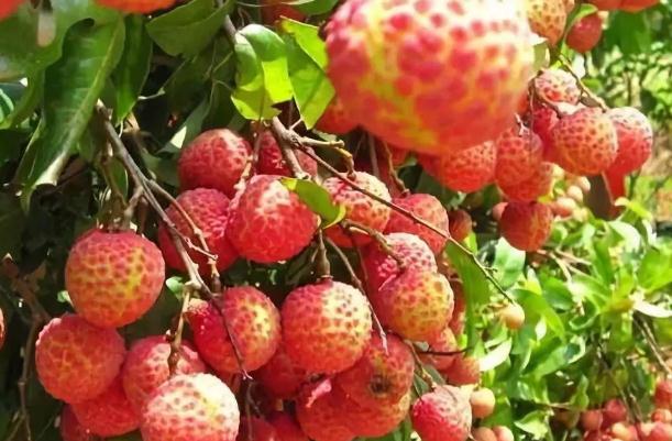 睫毛雨衣有用吗(睫毛雨衣有用吗)