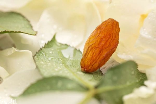 新疆葡萄干分类(新疆葡萄干分类)