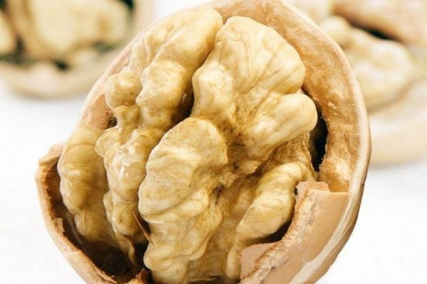 核桃什么时候吃最好(核桃什么时候吃最好一天吃几个) 核桃什么时候吃最好(核桃什么时候吃最好一天吃几个)