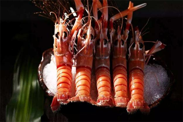 牡丹虾的特点(牡丹虾的特点)