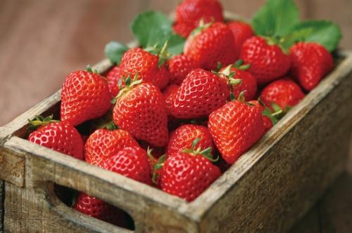 草莓是碱性还是酸性(草莓是碱性还是酸性食物)