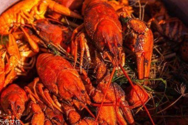 孕妇可以吃小龙虾吗(孕妇可以吃小龙虾吗早期)