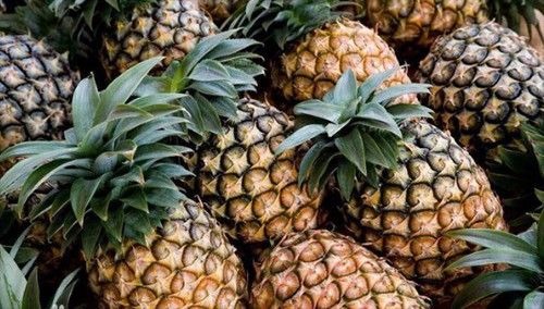 菠萝可以用自来水泡吗(菠萝可以用自来水泡吗?)