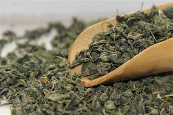 罗布麻茶怎么挑选(罗布麻茶怎么样)