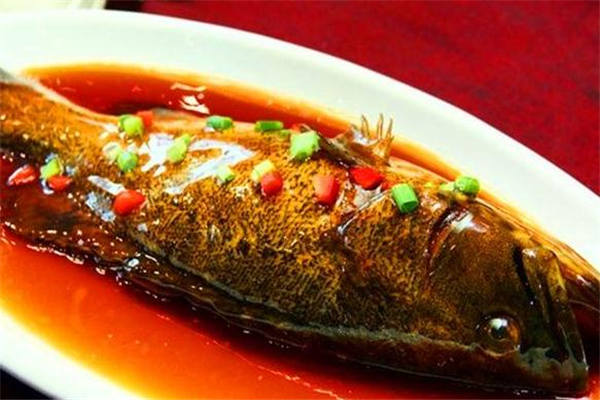红烧石斑鱼的营养价值(红石斑鱼的营养价值和功效)