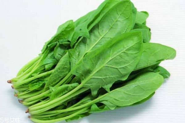 经期吃什么菜好(经期吃什么菜好一点)