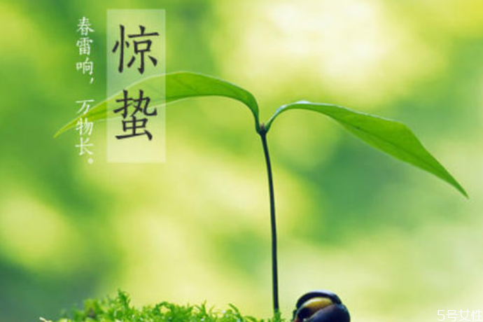 惊蛰吃梨的典故(惊蛰吃梨的典故教案) 惊蛰吃梨的典故(惊蛰吃梨的典故教案)